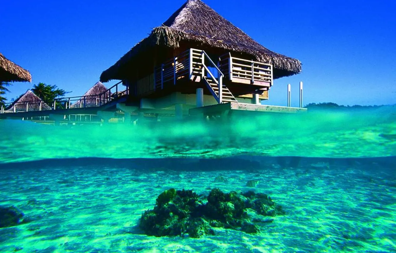 Фото обои океан, бунгало, Бора, blue lagoon, french polynesia, bora-bora