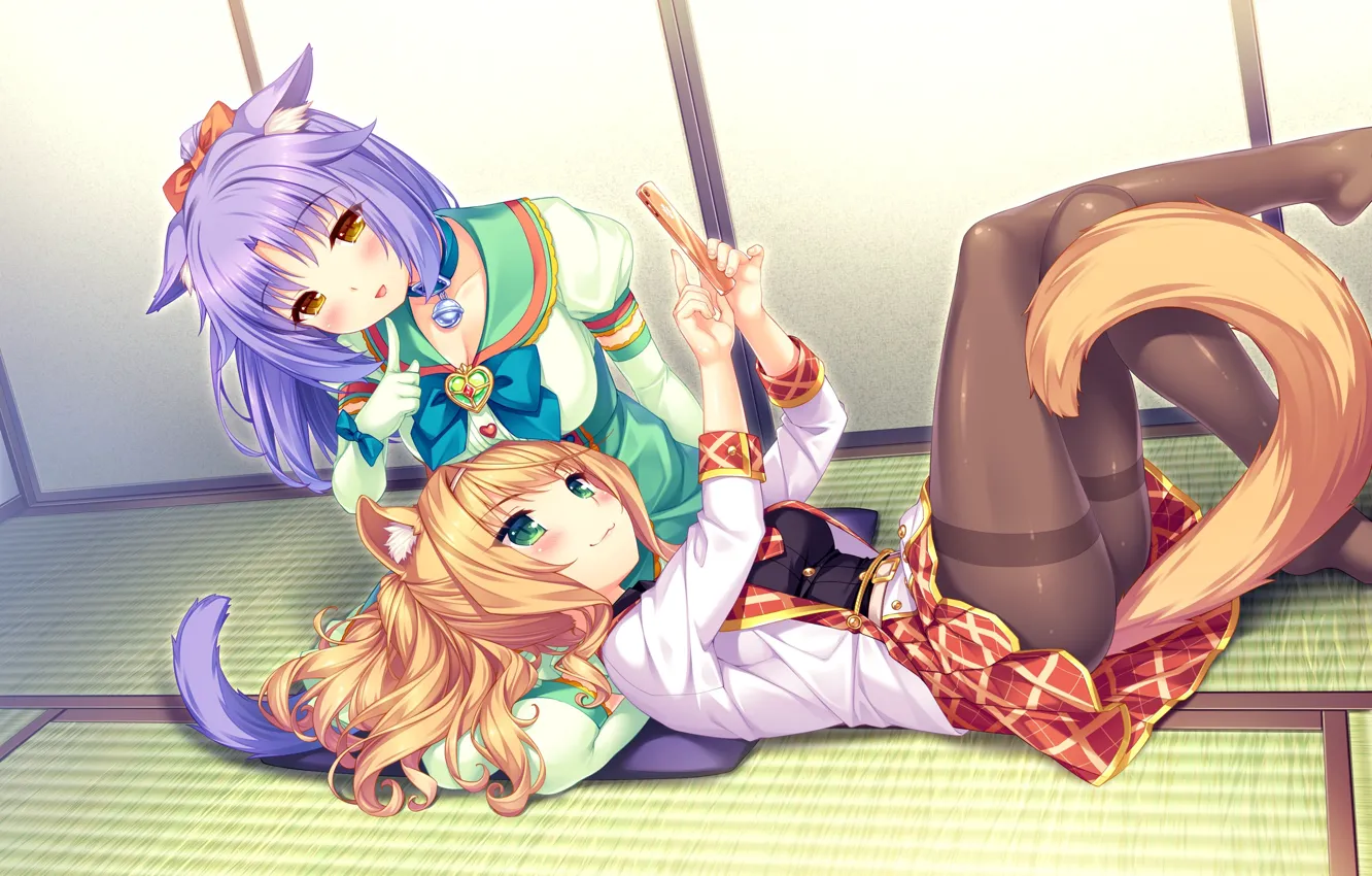 Фото обои Девушки, Комната, Неко, Nekopara