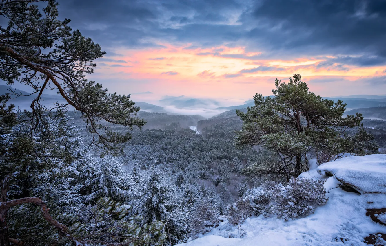 Фото обои зима, иней, лес, небо, облака, снег, горы, ветки