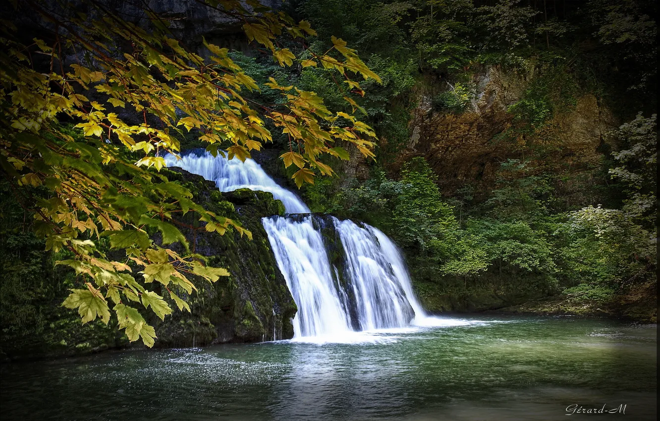 Фото обои осень, листья, деревья, ветки, водопад