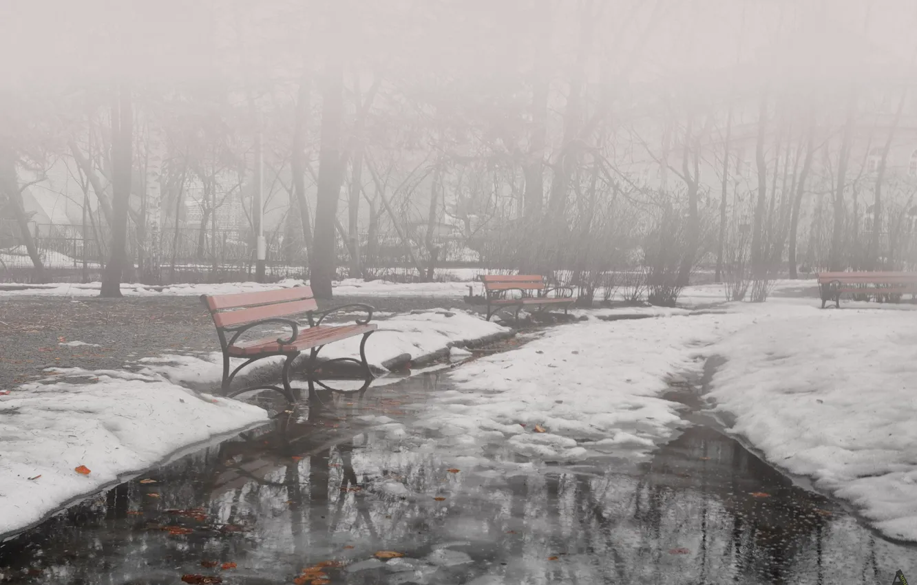 Фото обои зима, туман, парк, скамейки