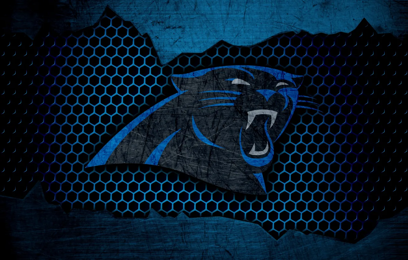 Фото обои wallpaper, sport, logo, NFL, american football, Carolina Panthers
