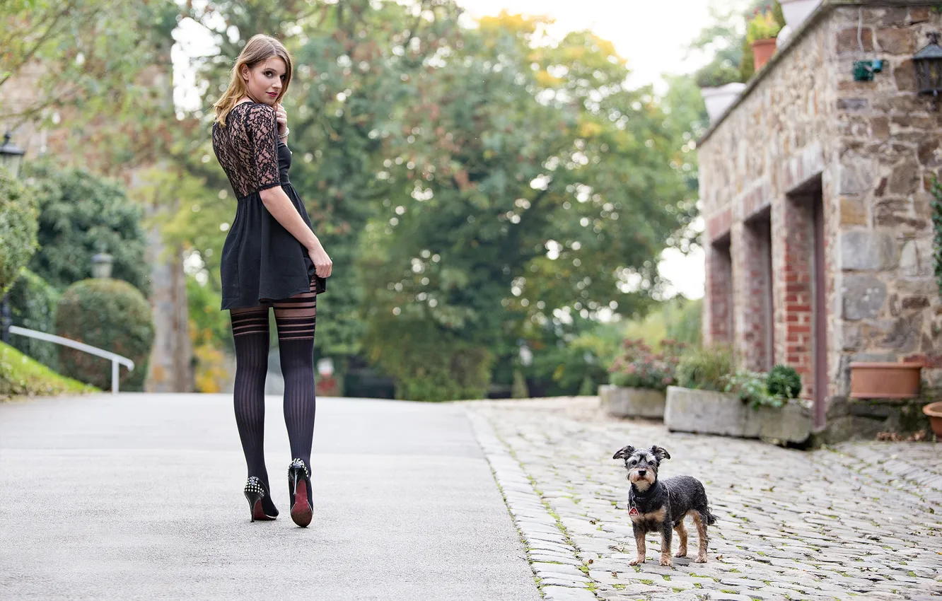 Фото обои девушка, город, улица, ножки, собачка, Guenter Stoehr