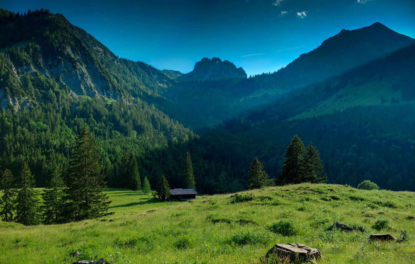 Фото обои зелень, лес, небо, трава, деревья, горы, природа, дом