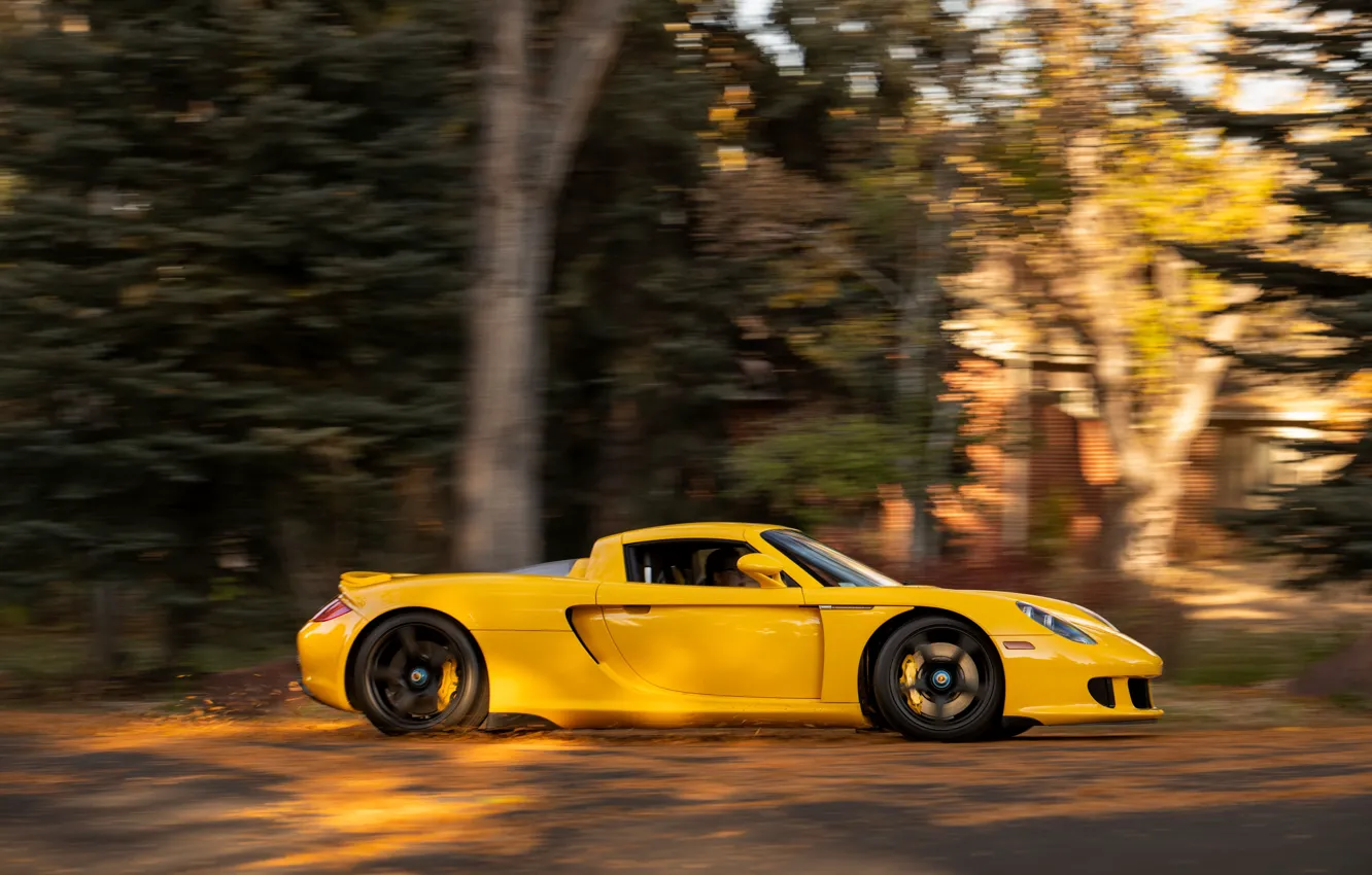 Фото обои Porsche, drive, Porsche Carrera GT