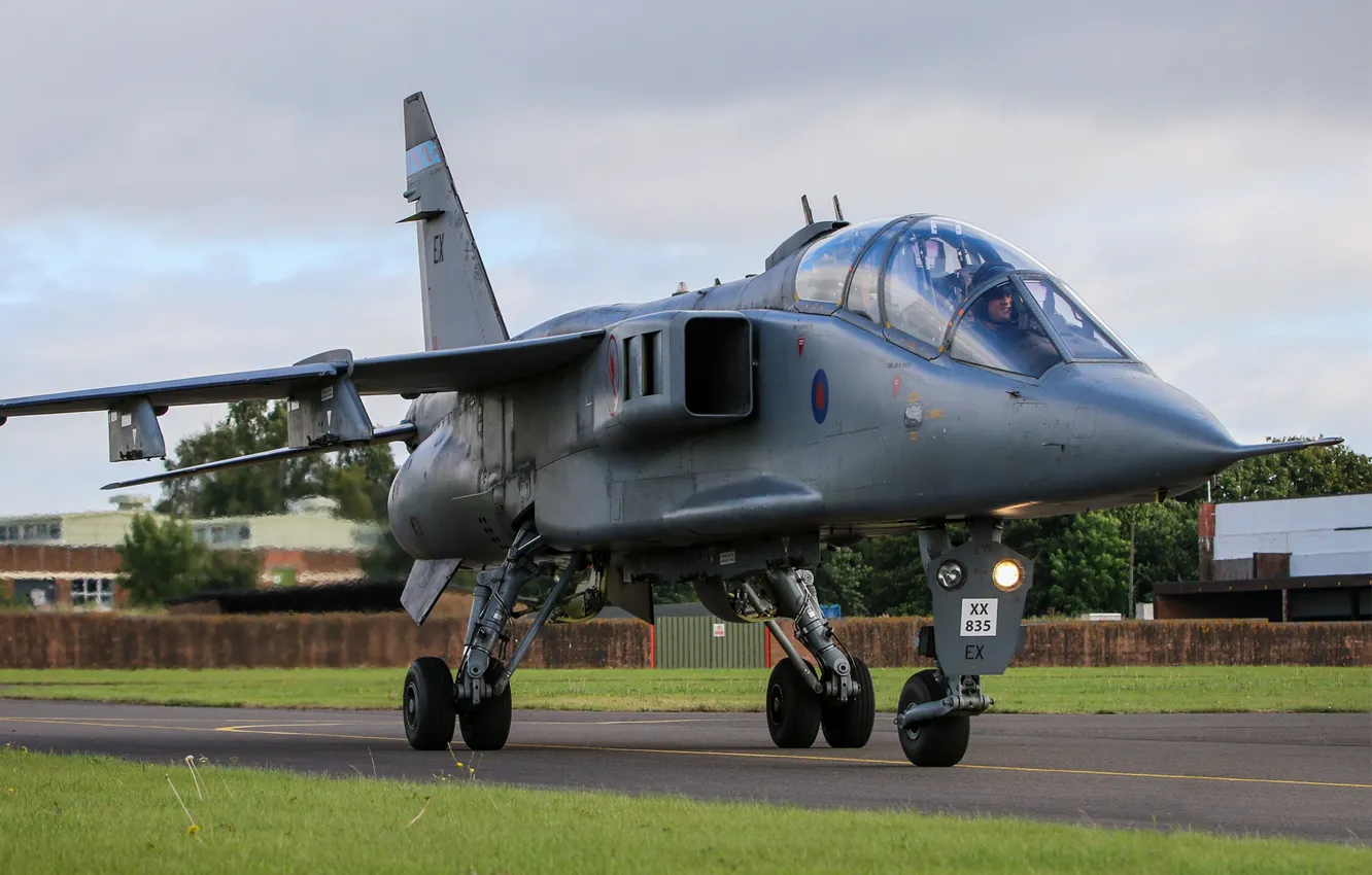Фото обои Jaguar, Истребитель-бомбардировщик, RAF, Sepecat Jaguar, Sepecat Jaguar T4