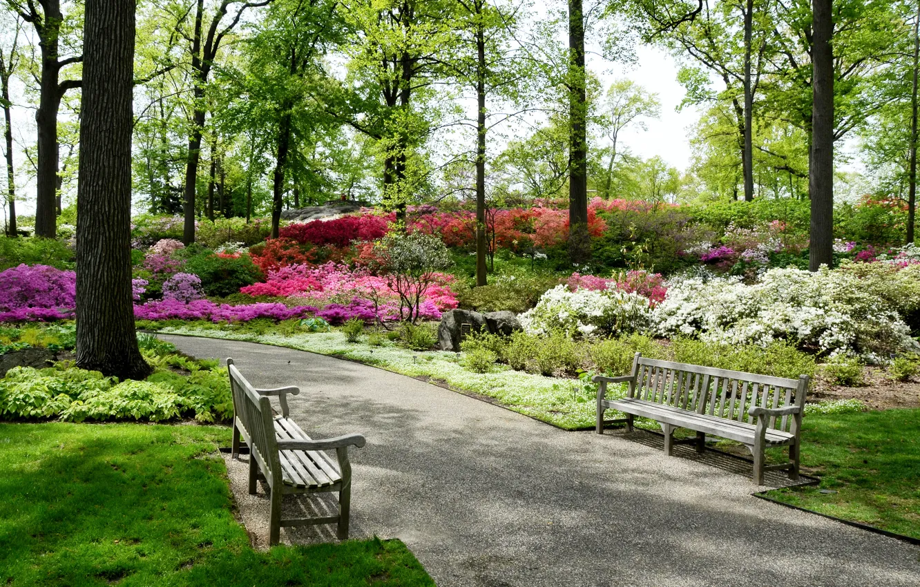 Фото обои дорога, скамейка, парк, Нью-Йорк, сад, США, аллея, alley