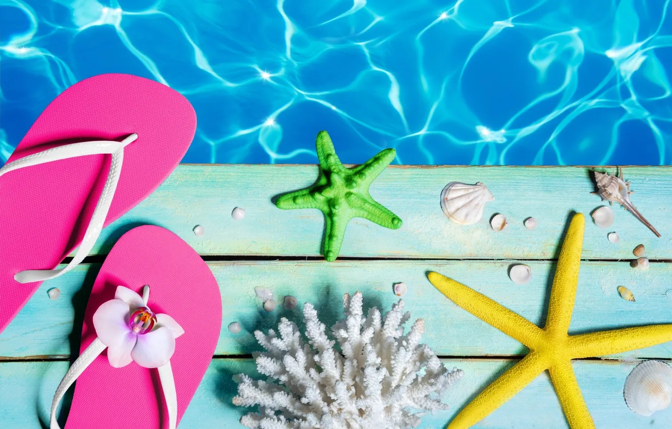 Фото обои пляж, лето, звезды, отдых, ракушки, summer, beach, каникулы