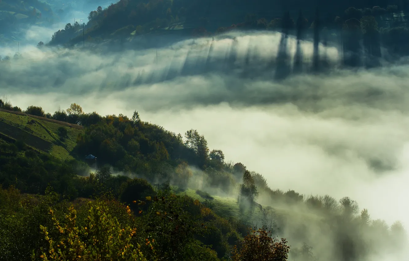 Фото обои горы, туман, Украина, Закарпатье