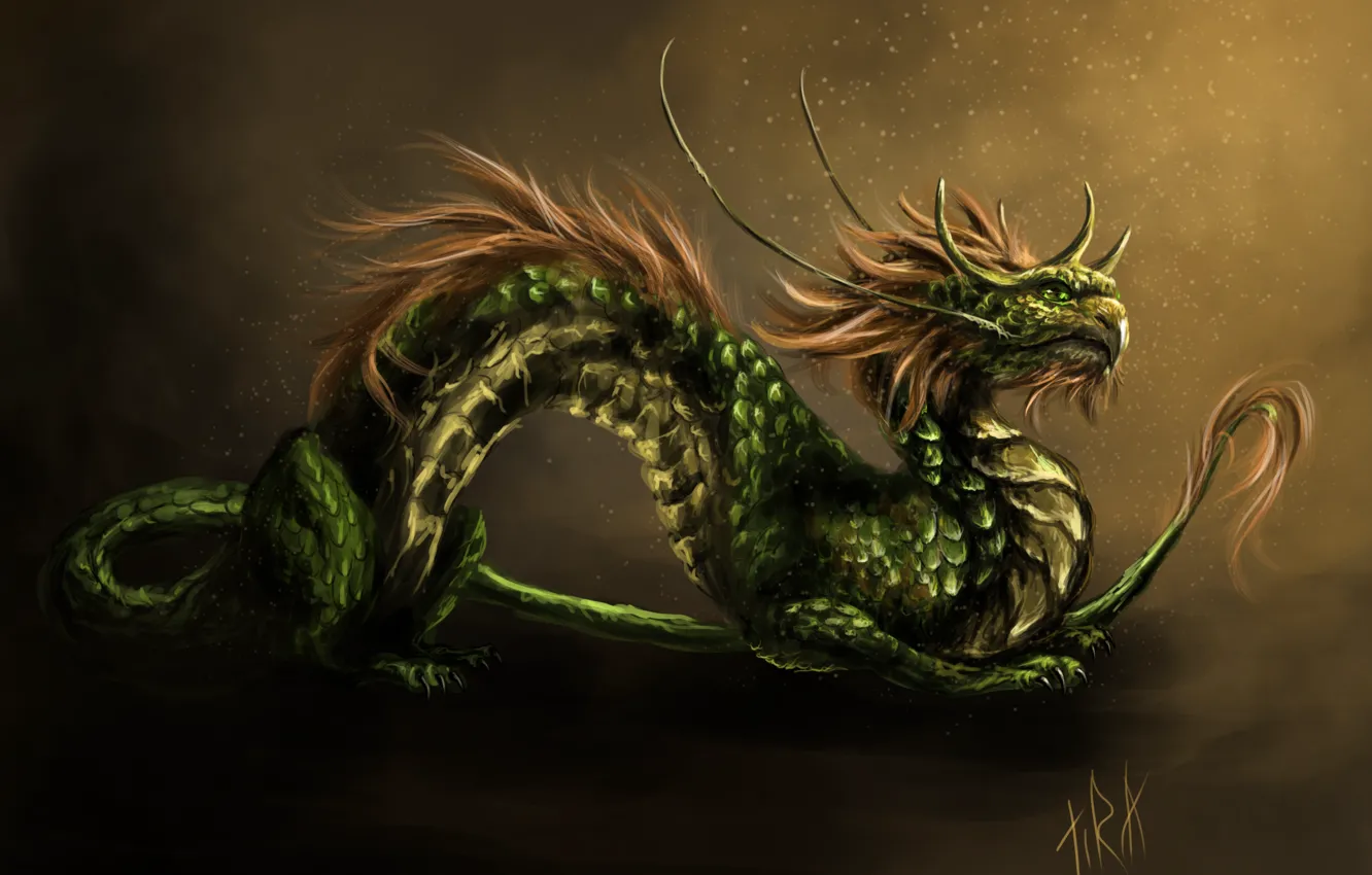 Фото обои усы, дракон, арт, грива, азиатский