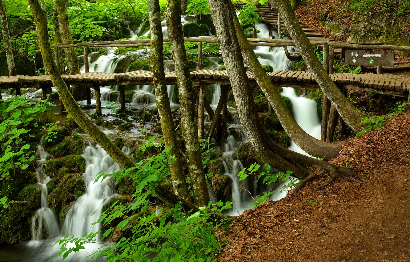 Фото обои лес, деревья, водопад, поток, склон, мостик