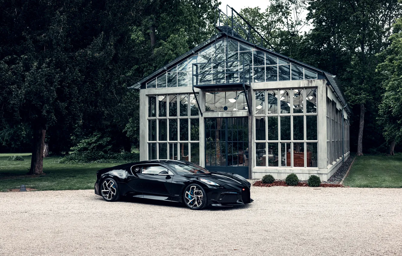 Фото обои car, Bugatti, greenhouse, La Voiture Noire, Bugatti La Voiture Noire