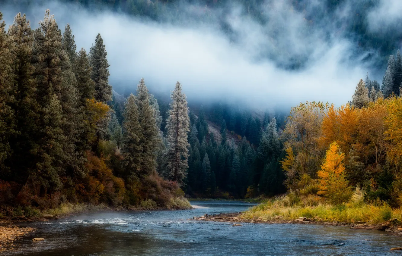 Фото обои осень, горы, туман, река