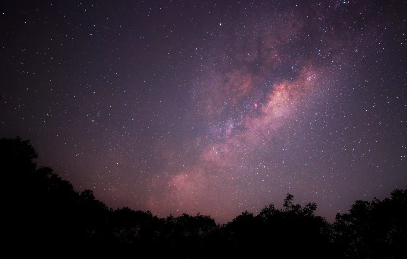 Фото обои звезды, ночь, пространство, млечный путь