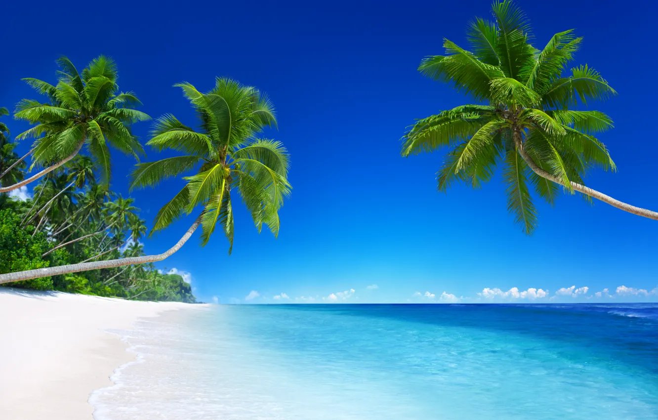 Фото обои песок, море, пляж, солнце, тропики, океан, берег, остров