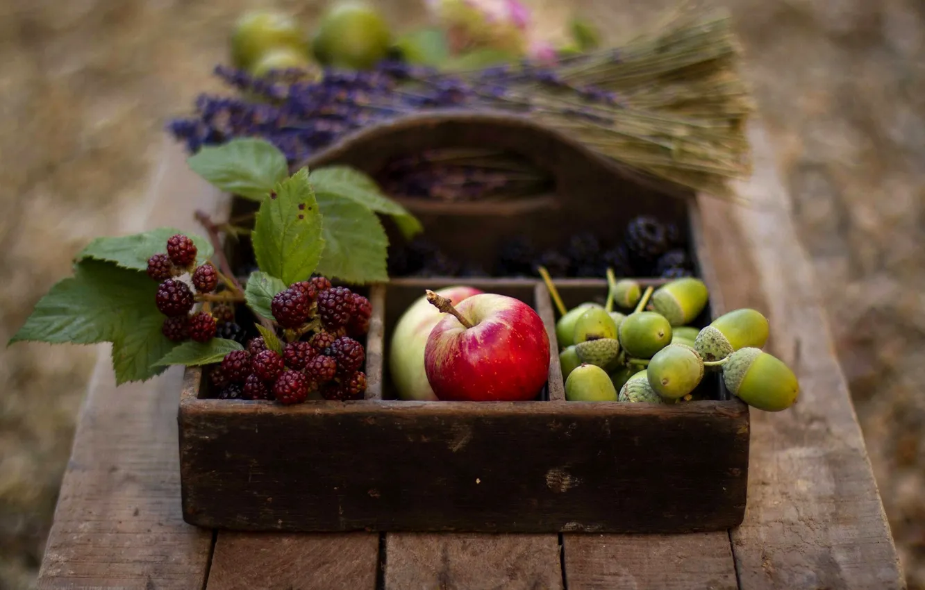 Фото обои осень, ягоды, стол, корзина, яблоки, фрукты, желуди, ежевика