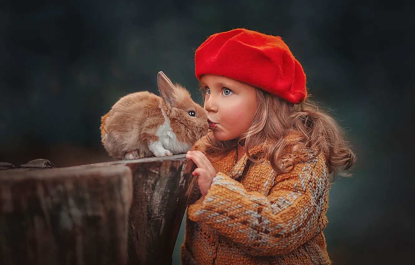 Фото обои осень, взгляд, друг, пень, портрет, поцелуй, кролик, девочка