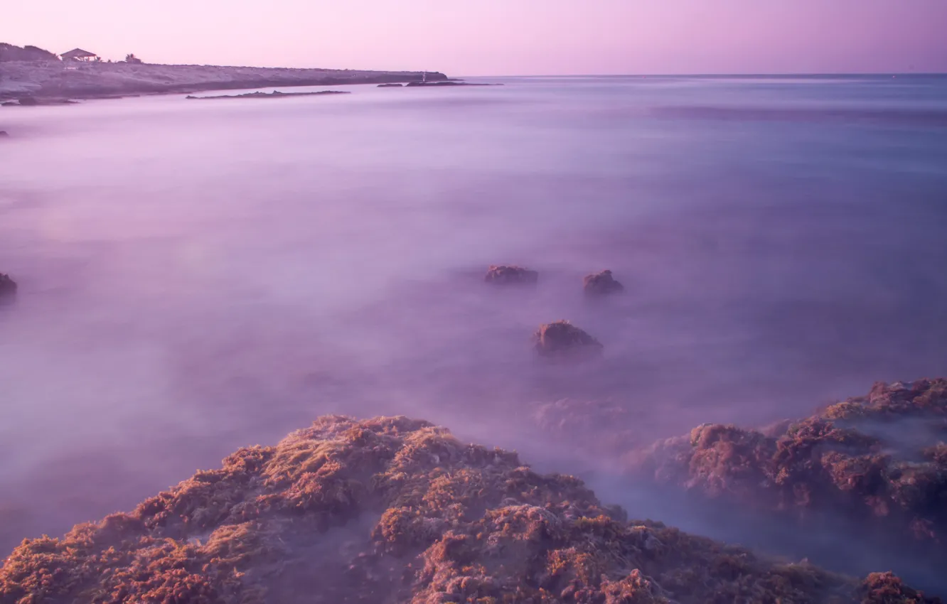 Фото обои море, водоросли, гладь, камни, рассвет, берег, утро, выдержка
