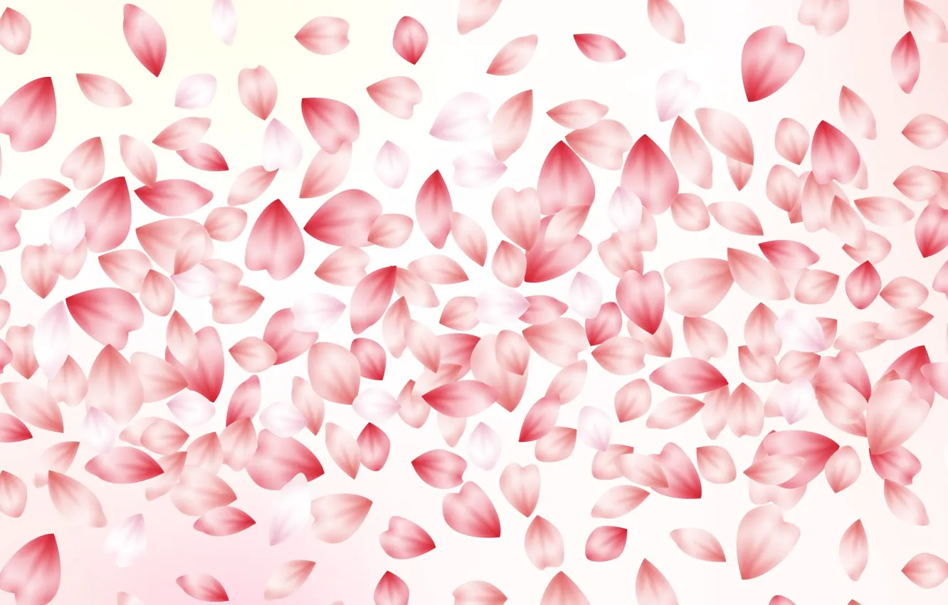 Фото обои фон, розовый, текстура, лепестки, blossom, background, leaves, cherry