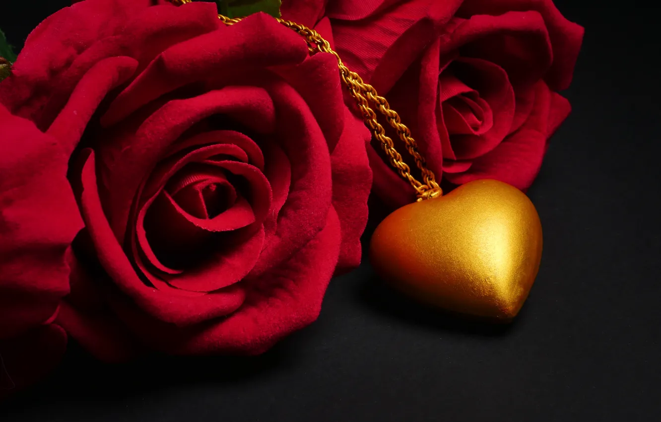 Фото обои цветы, сердце, роза, кулон, red, love, черный фон, красная