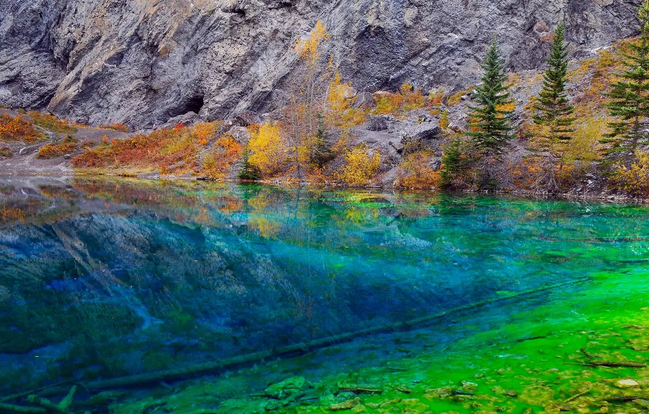 Фото обои деревья, водоросли, озеро, скалы, Канада, Альберта, Grassi Lake, Кенмор