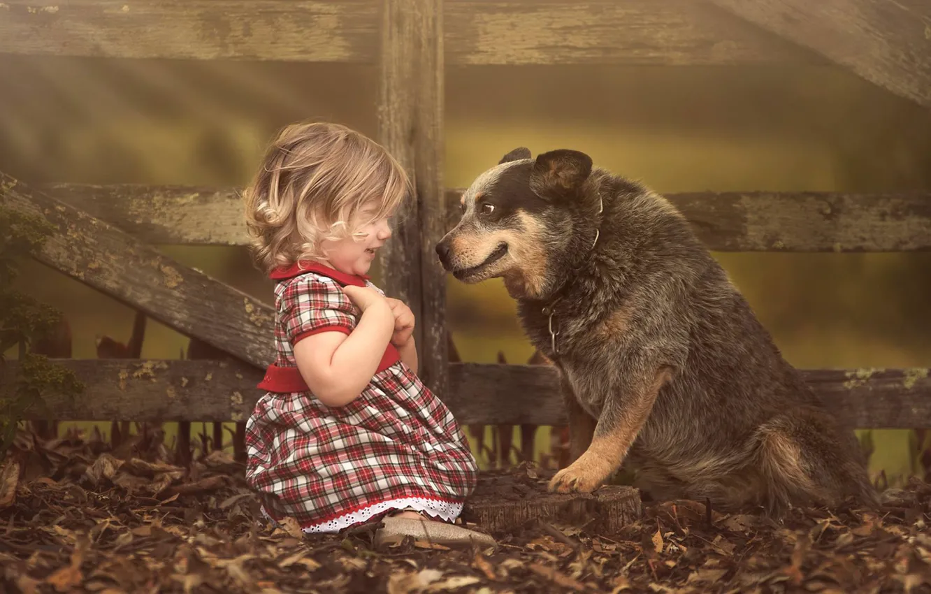 Фото обои листва, забор, удивление, собака, девочка, друзья, малышка