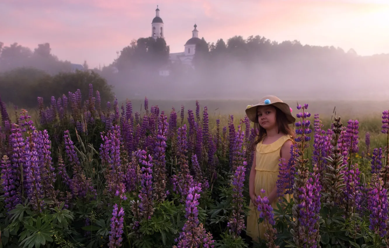 Фото обои лето, цветы, туман, девочка