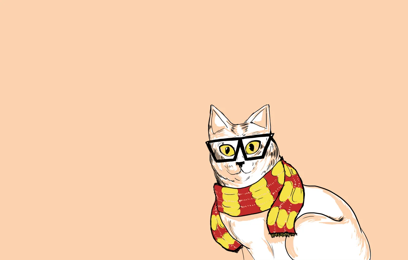 Фото обои кошка, кот, минимализм, шарф, очки, хипстер