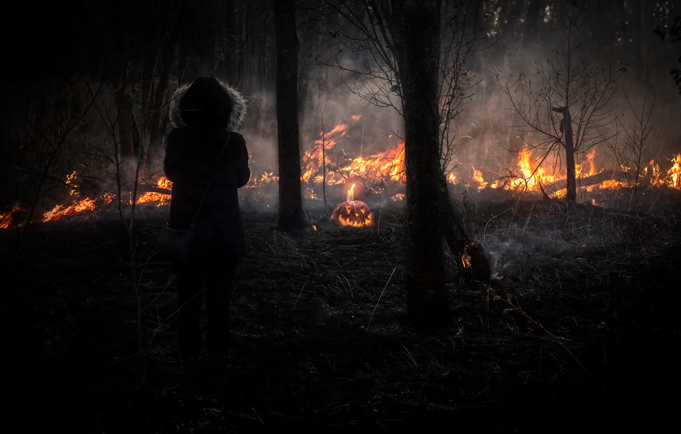 Фото обои лес, взгляд, девушка, природа, костер, тыква, fire, girl