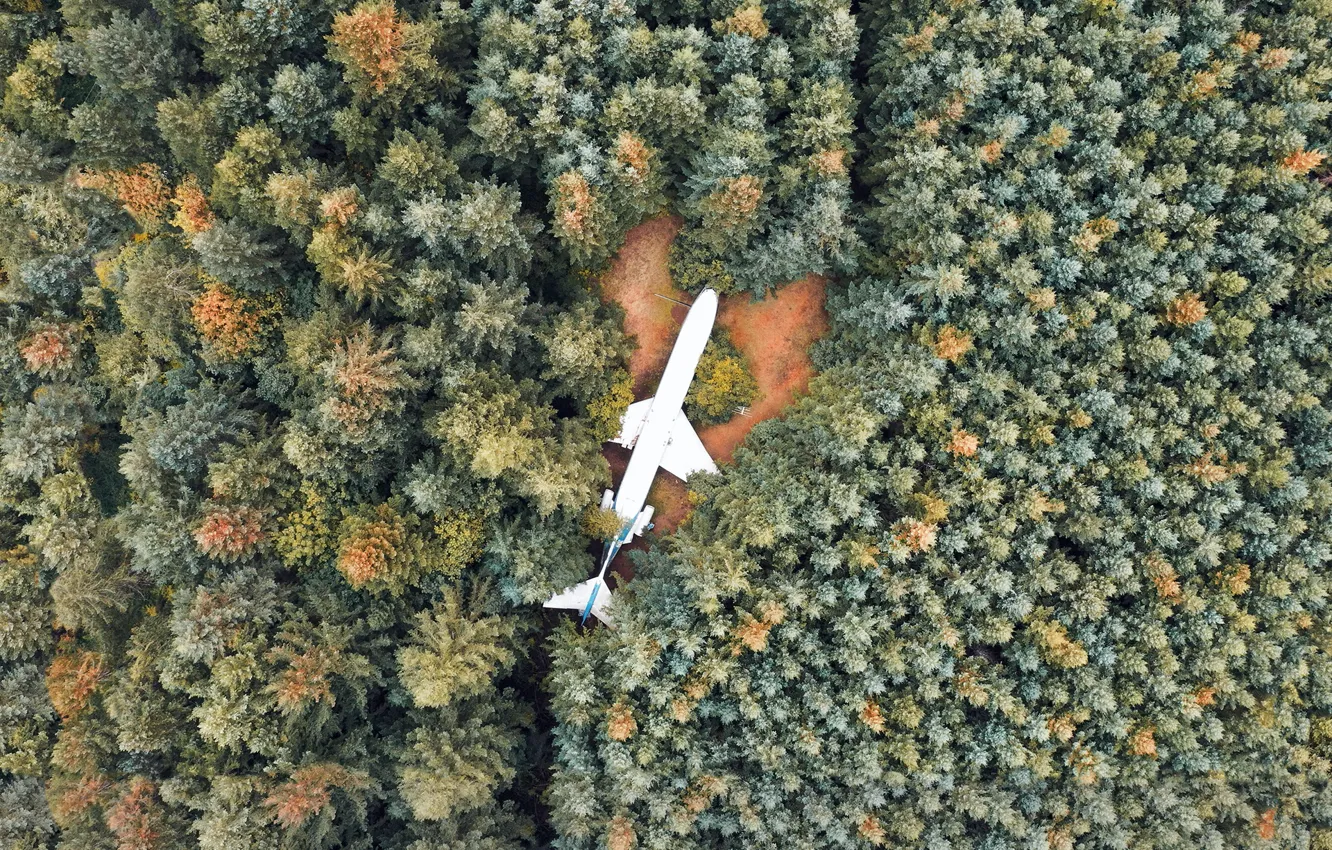 Фото обои лес, деревья, вид, самолёт, OREGON STATE