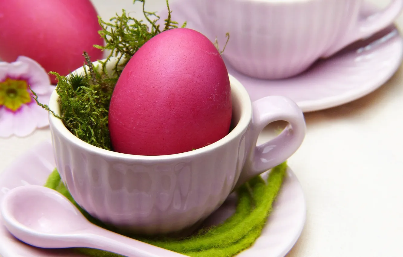 Фото обои яйцо, Пасха, Праздник