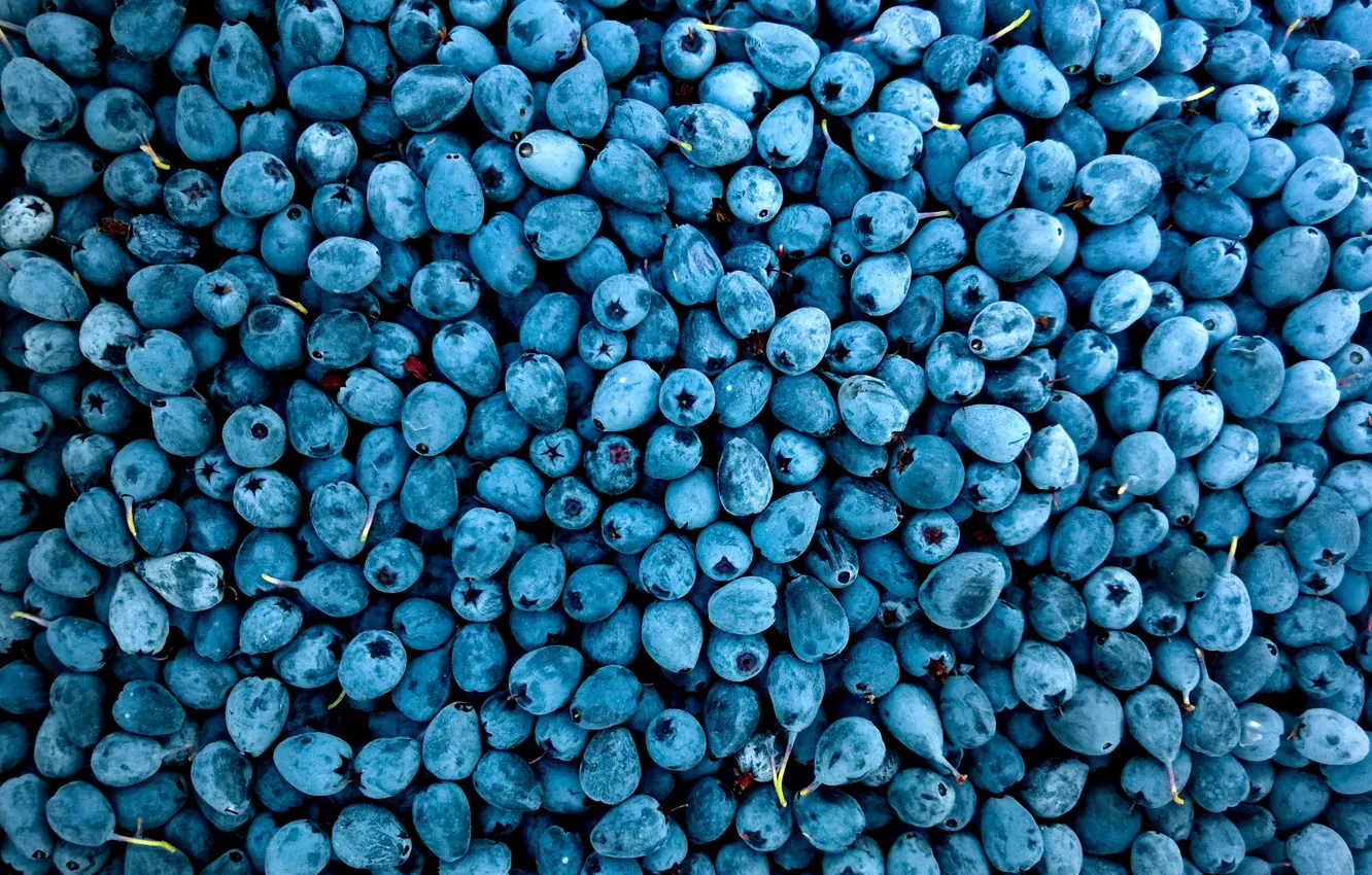 Фото обои Ягоды, Еда, Ягода, Colors, Fresh, Delicious, Berries, Blueberries