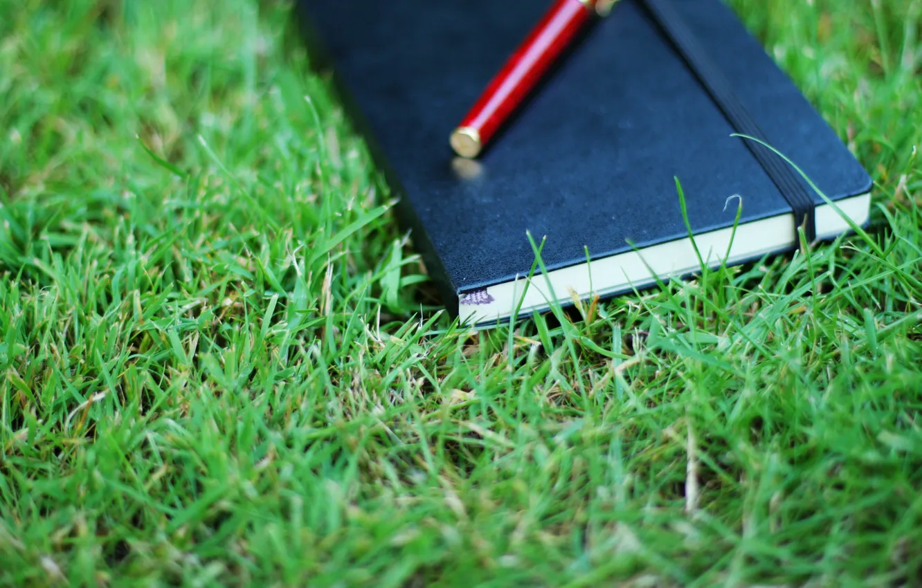 Фото обои зелень, трава, природа, настроения, блокнот, книга