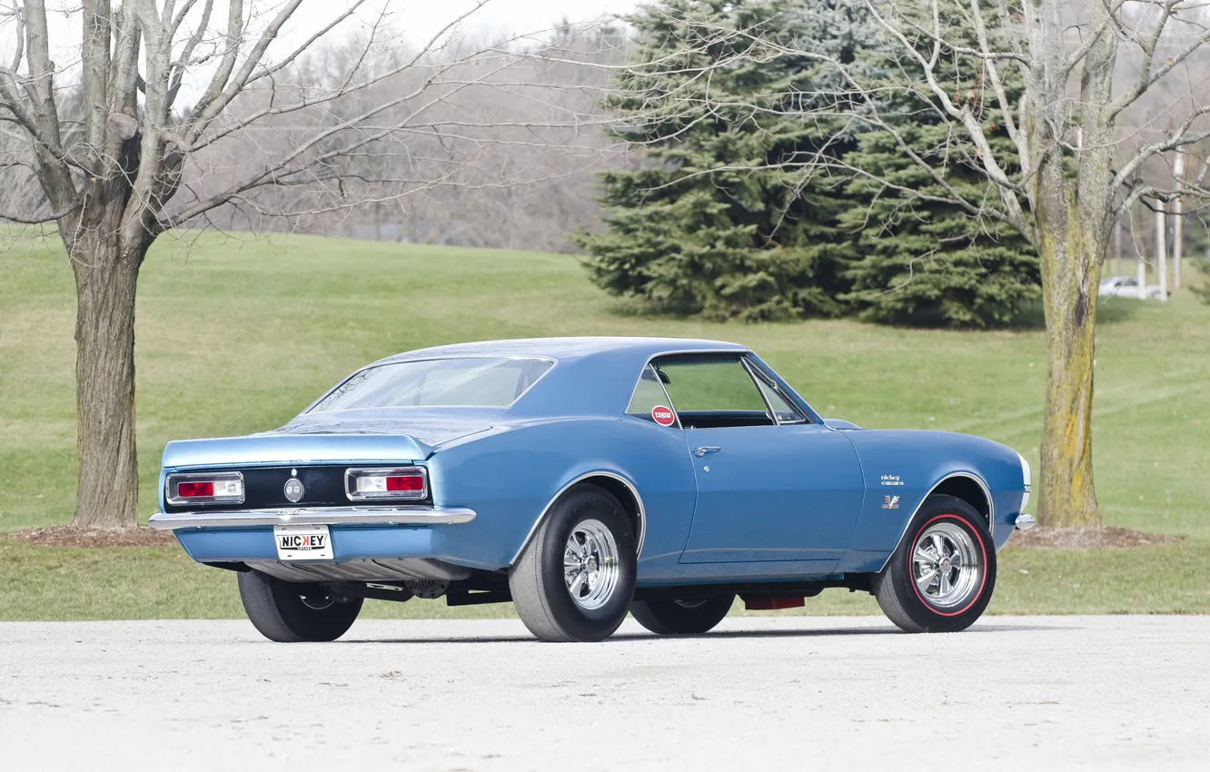 Фото обои ретро, купе, Chevrolet, Camaro, спорт кар, coupe, 1967, 427