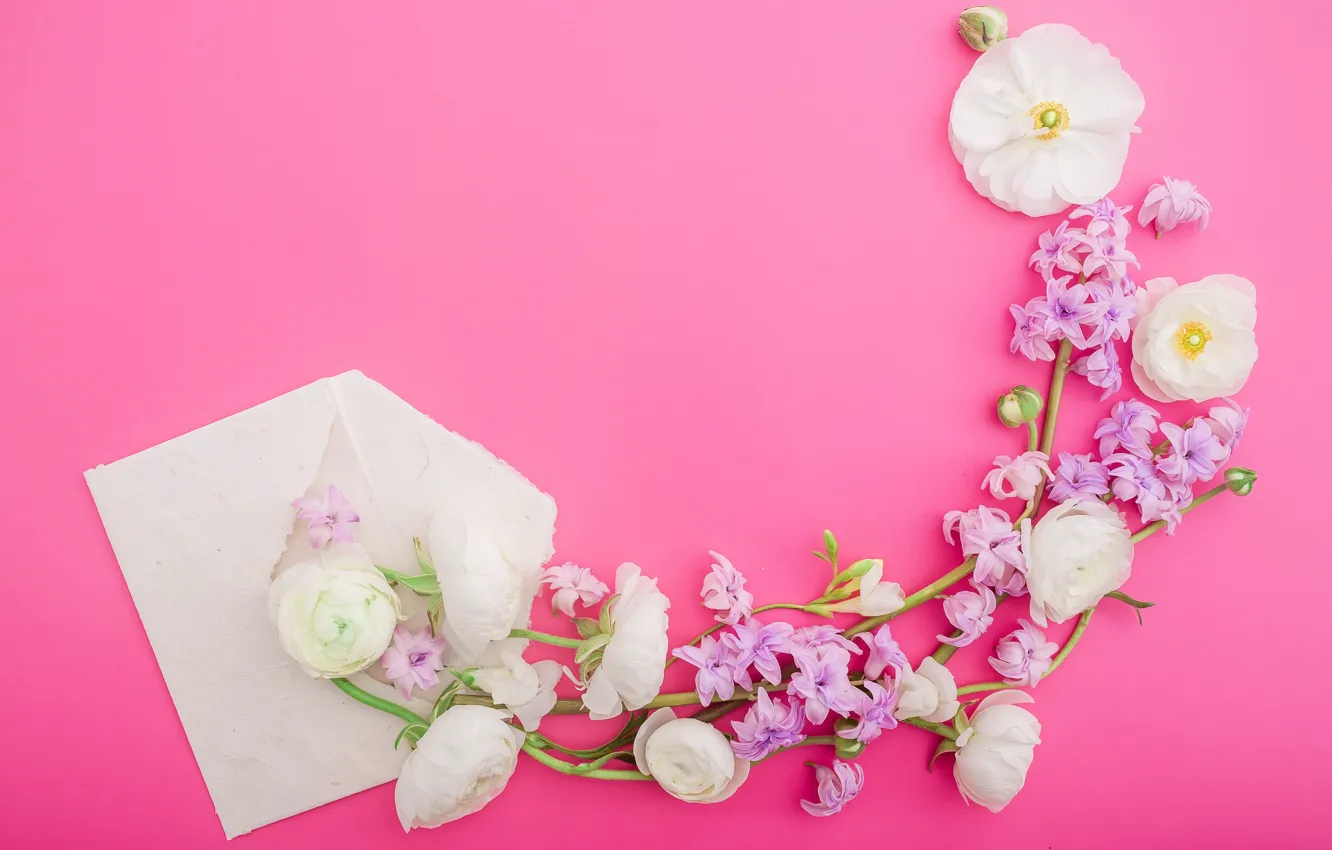 Фото обои цветы, лепестки, розовые, white, белые, pink, flowers, композиция