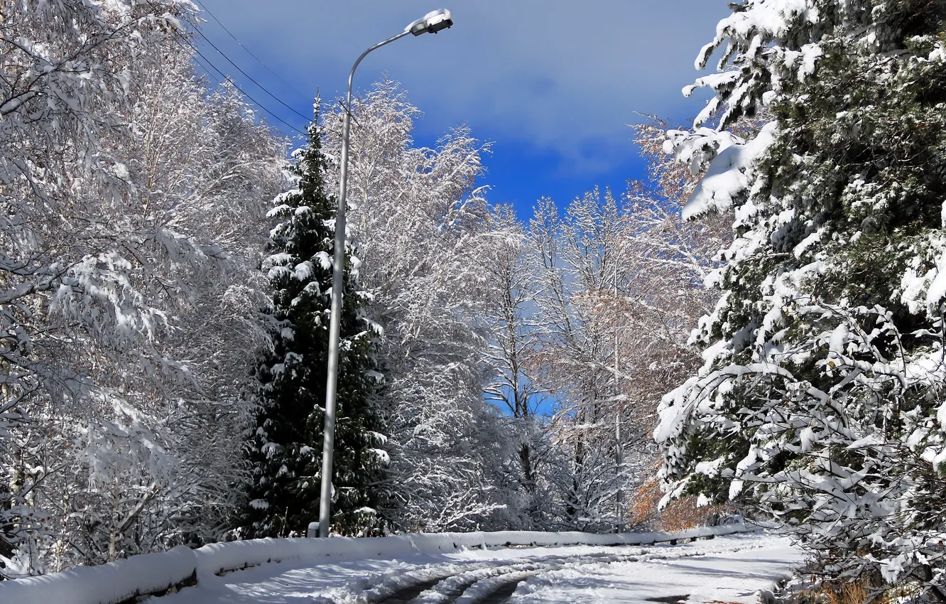 Фото обои дорога, снег, пейзаж