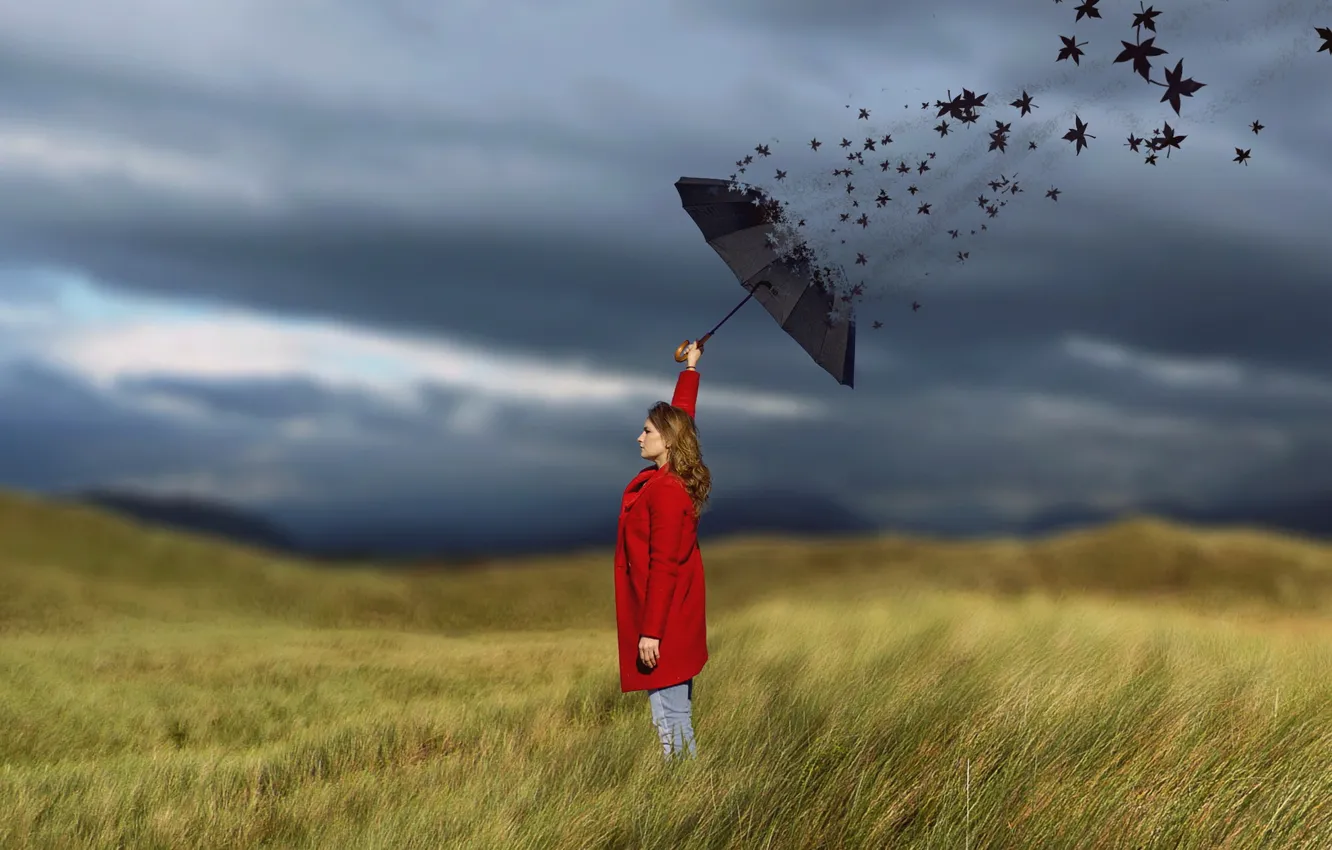 Фото обои поле, девушка, зонт