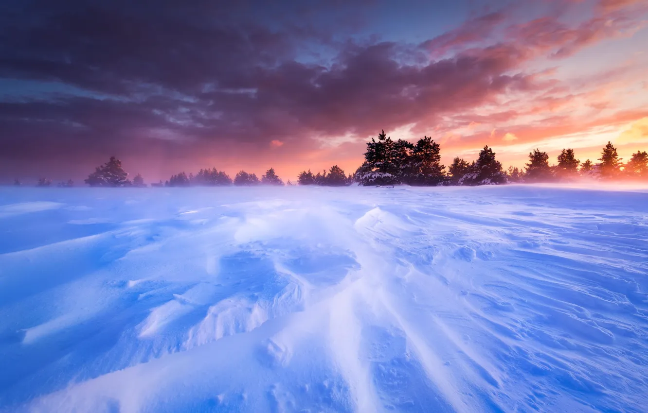 Фото обои зима, небо, снег, деревья, пейзаж, закат, Франция, равнина