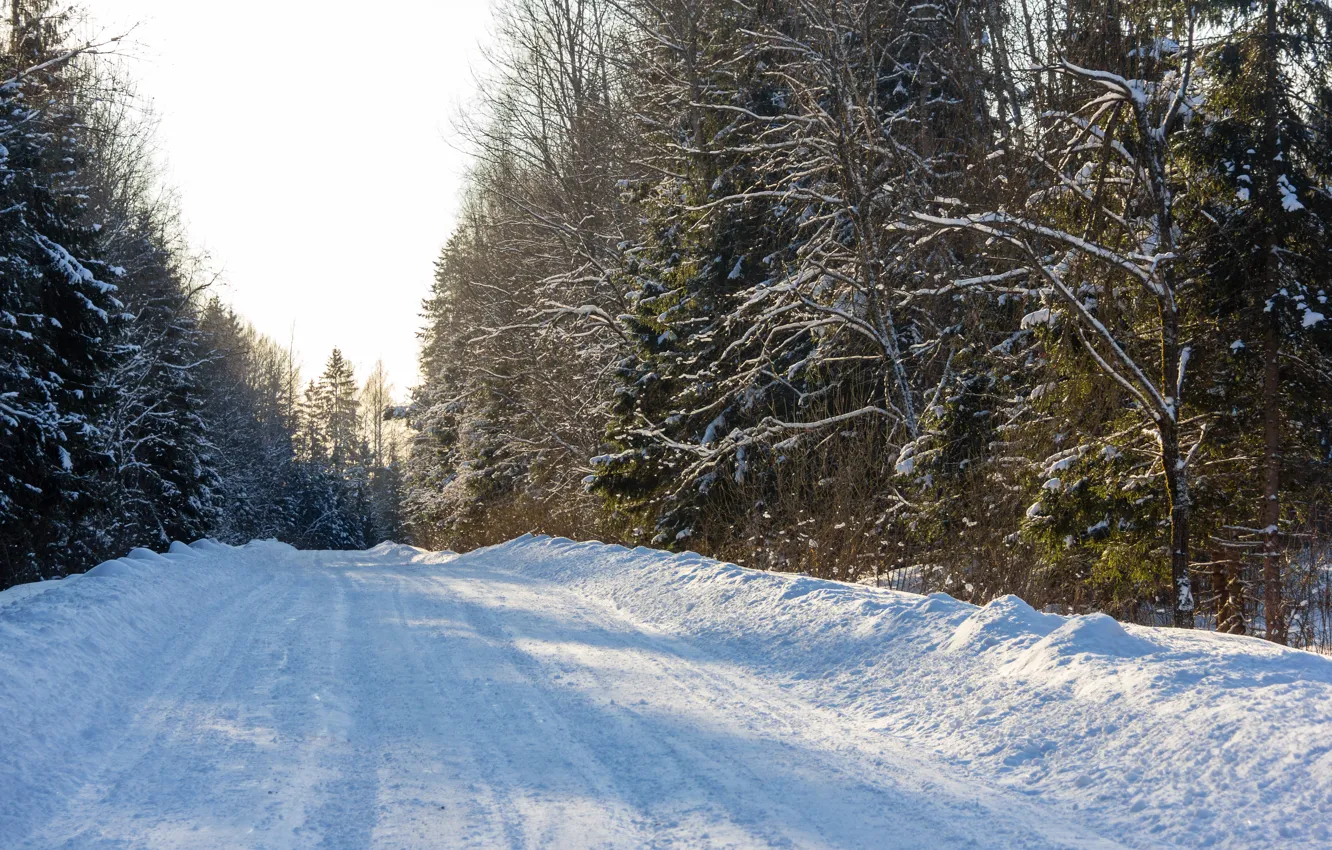 Фото обои зима, дорога, лес, снег, закат, природа, путь, мороз
