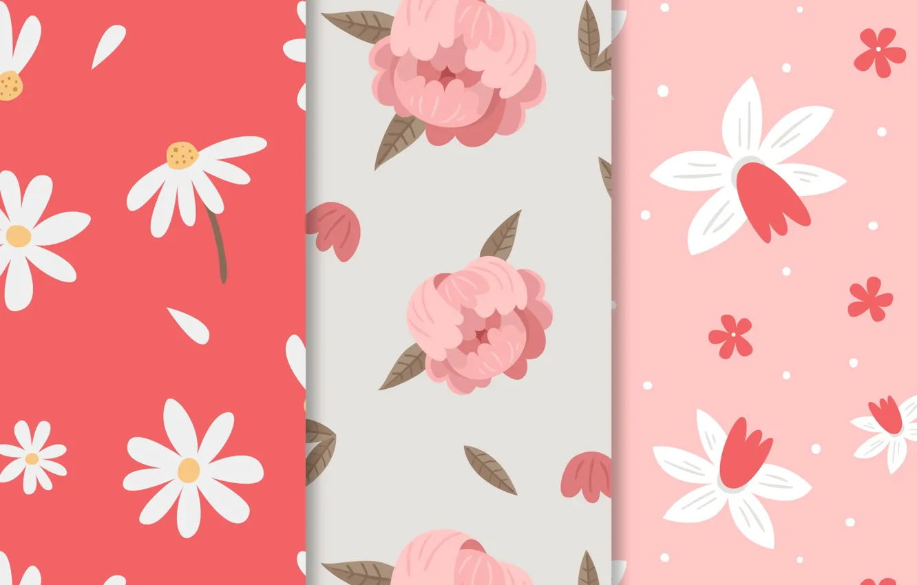 Фото обои цветы, ромашки, текстура, pink, patterns, пионы, spring