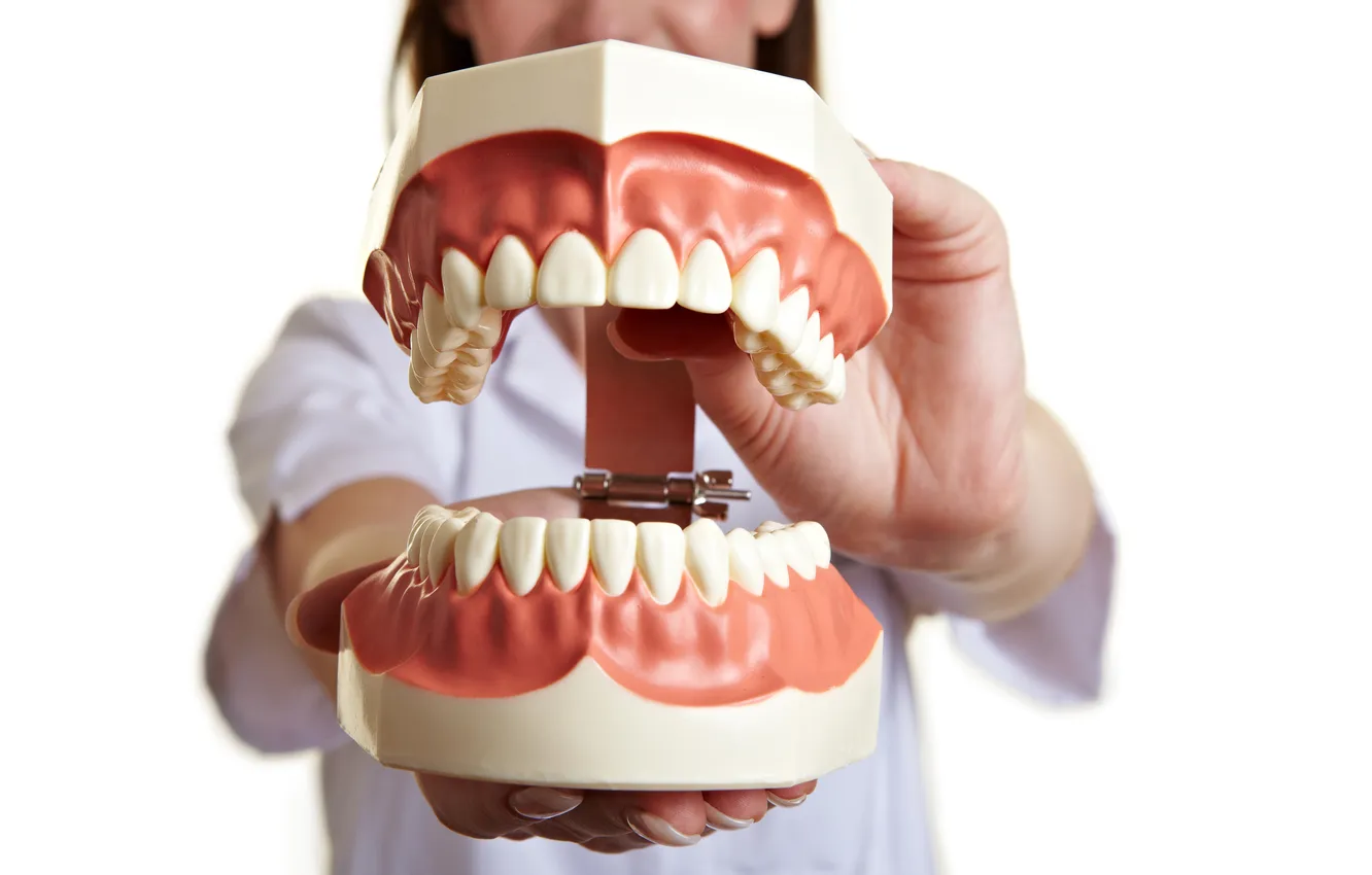 Фото обои teeth, dentist, teeth showing