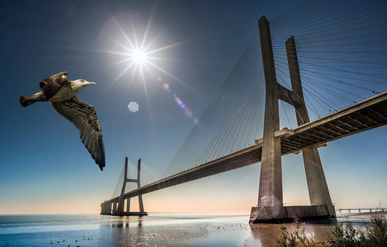 Фото обои Lisbon, river Tagus, Vasco da Gama bridge