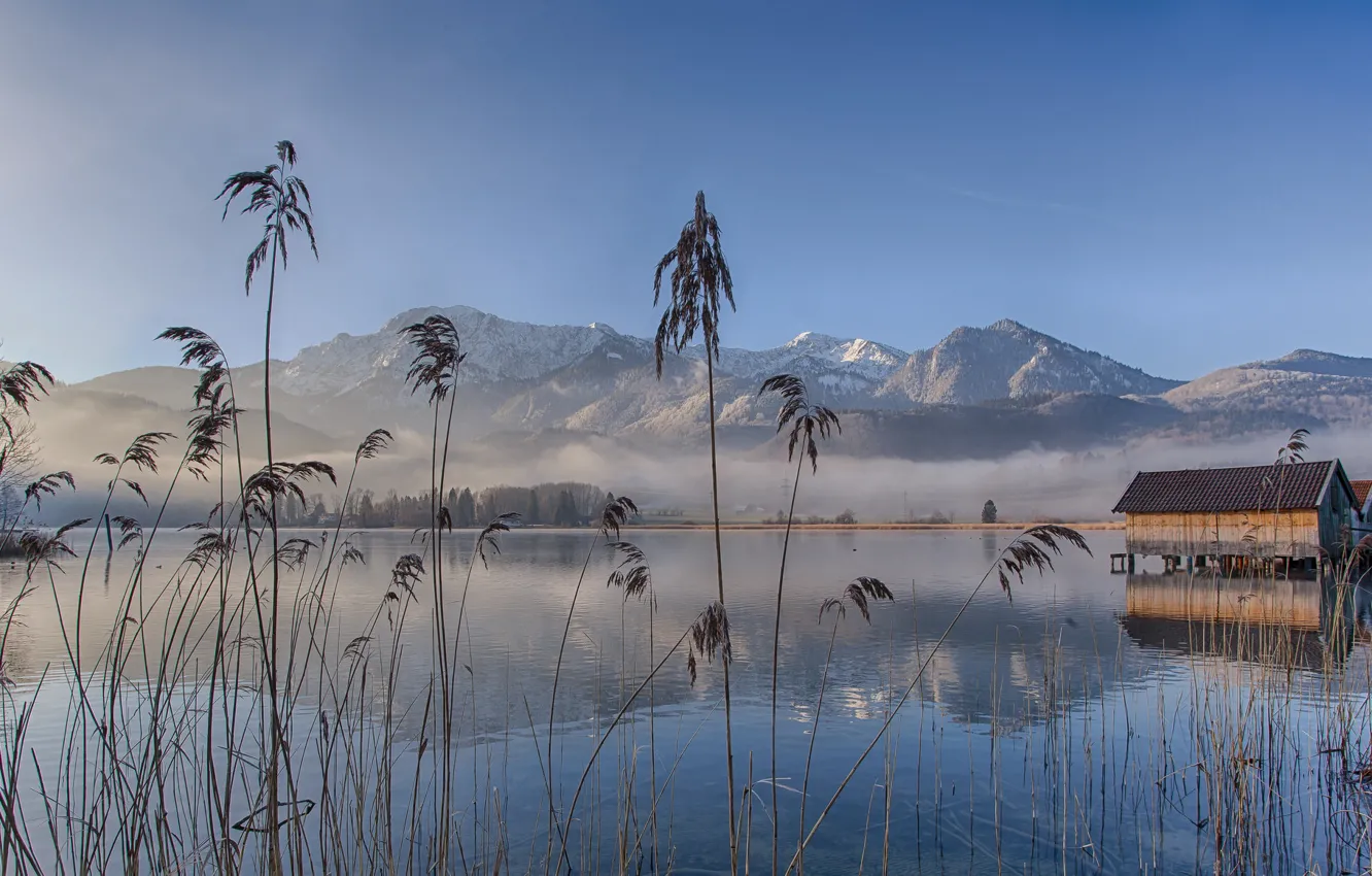 Фото обои туман, озеро, утро, Германия, Бавария, Bavaria, Lake Eichsee