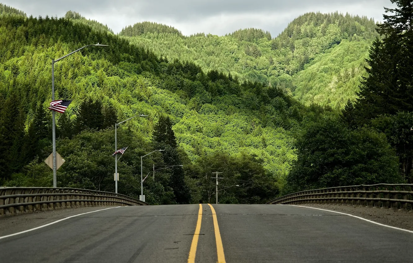 Фото обои Дорога, Лес, Орегон, Холмы, Америка, United States, Oregon, Road