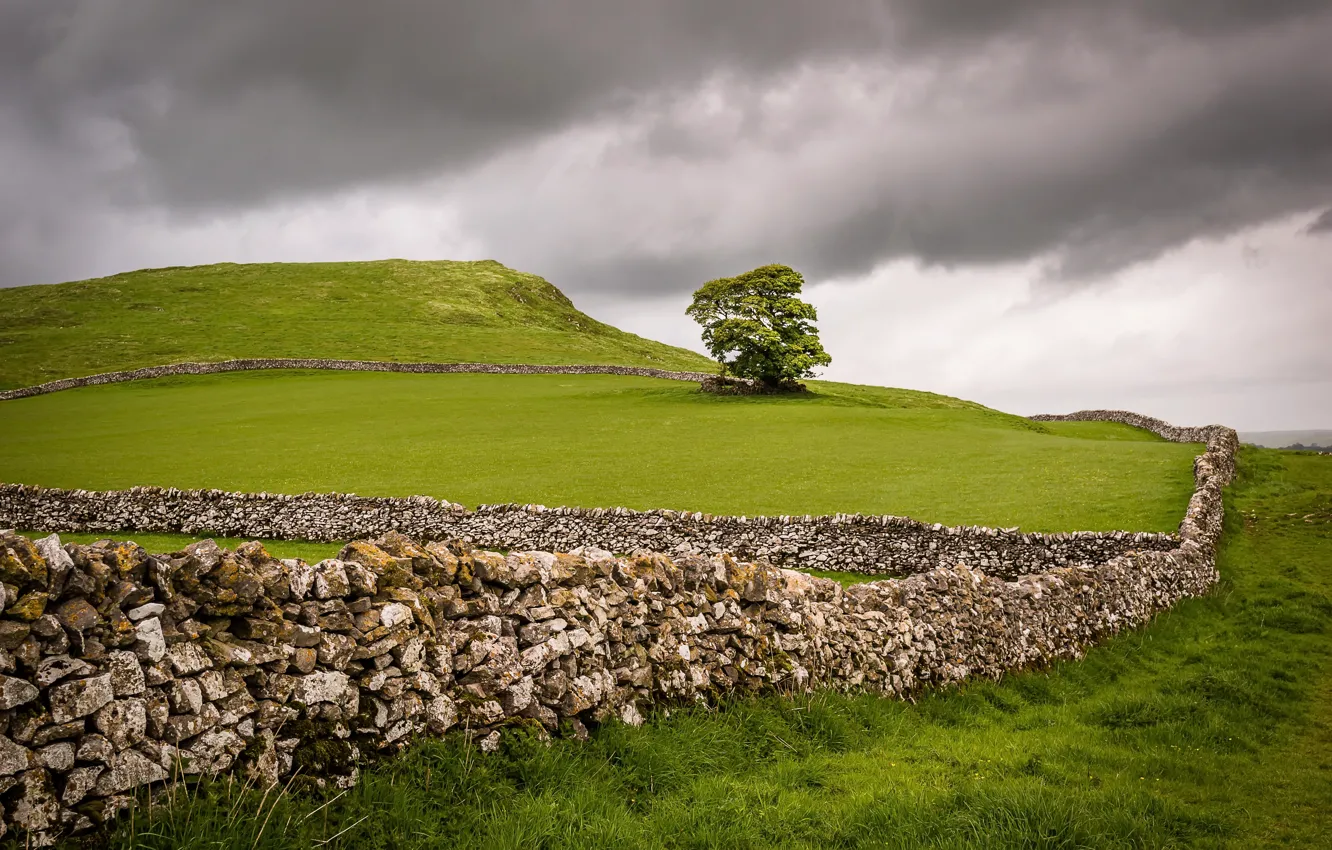 Обои поле, дерево, забор картинки на рабочий стол, раздел пейзажи - скачать