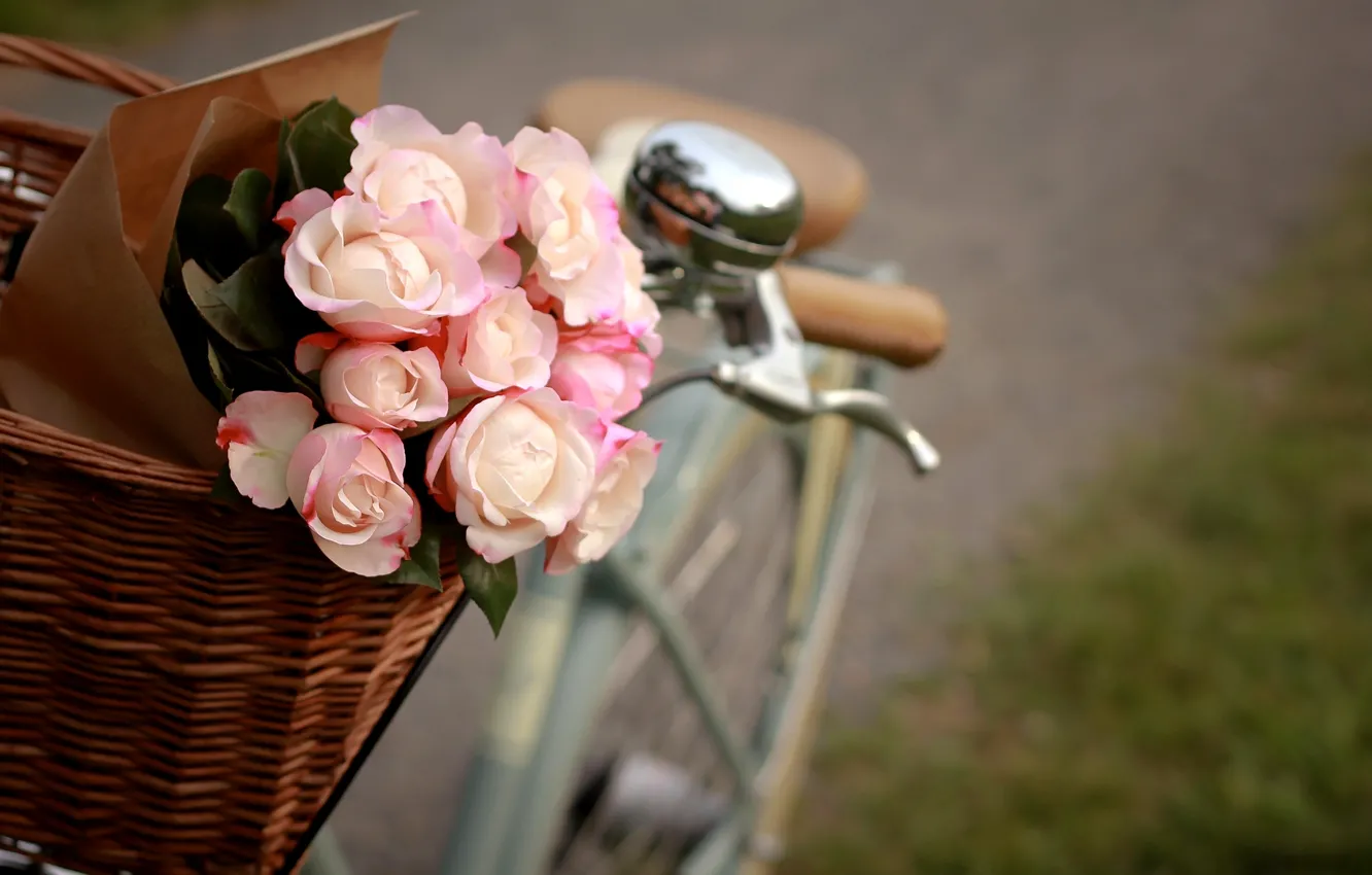 Фото обои цветы, велосипед, корзина, розы, пакет, розовые, белые