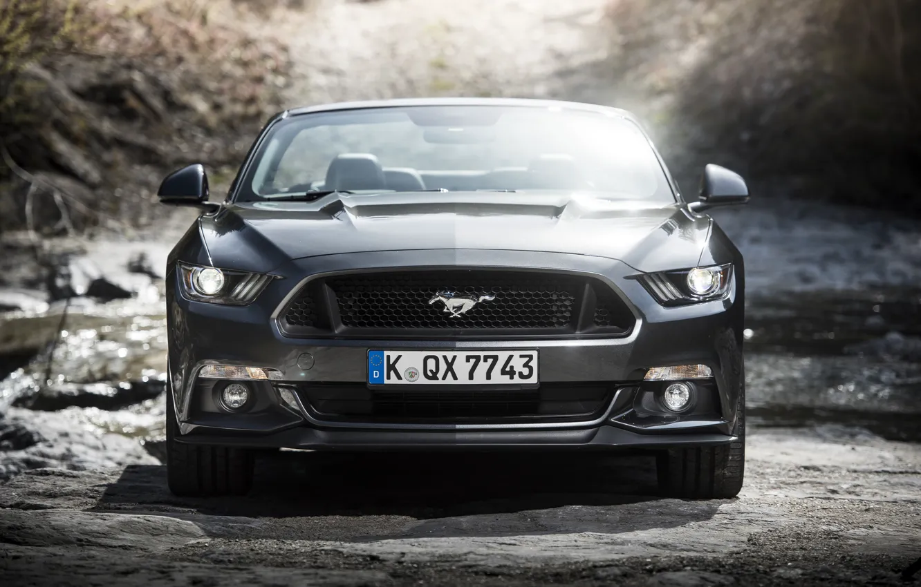 Фото обои Mustang, Ford, мустанг, кабриолет, форд, Convertible, 2015, EU-spec