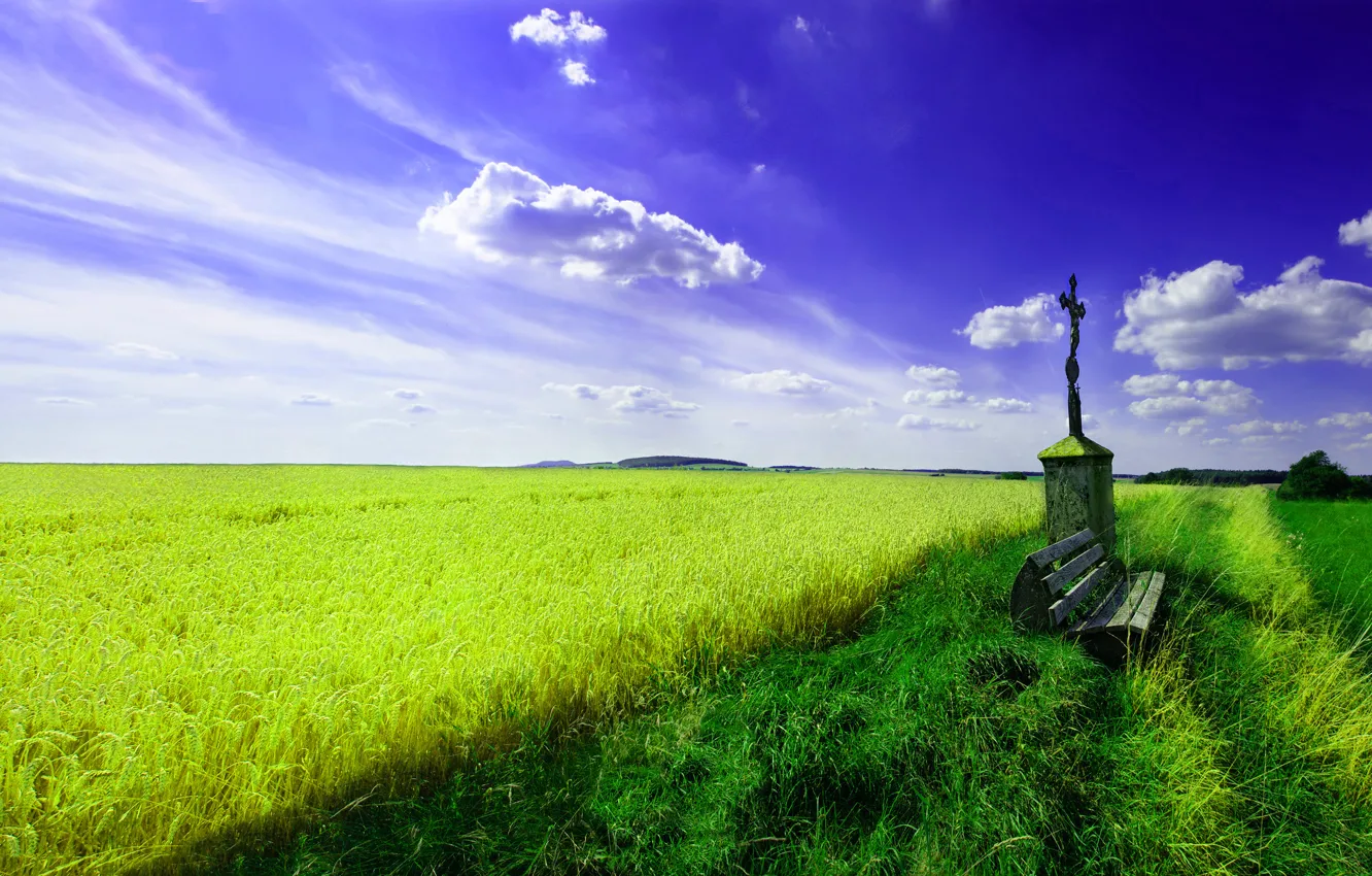 Фото обои пшеница, поле, небо, трава, облака, природа, пейзажи, скамейки