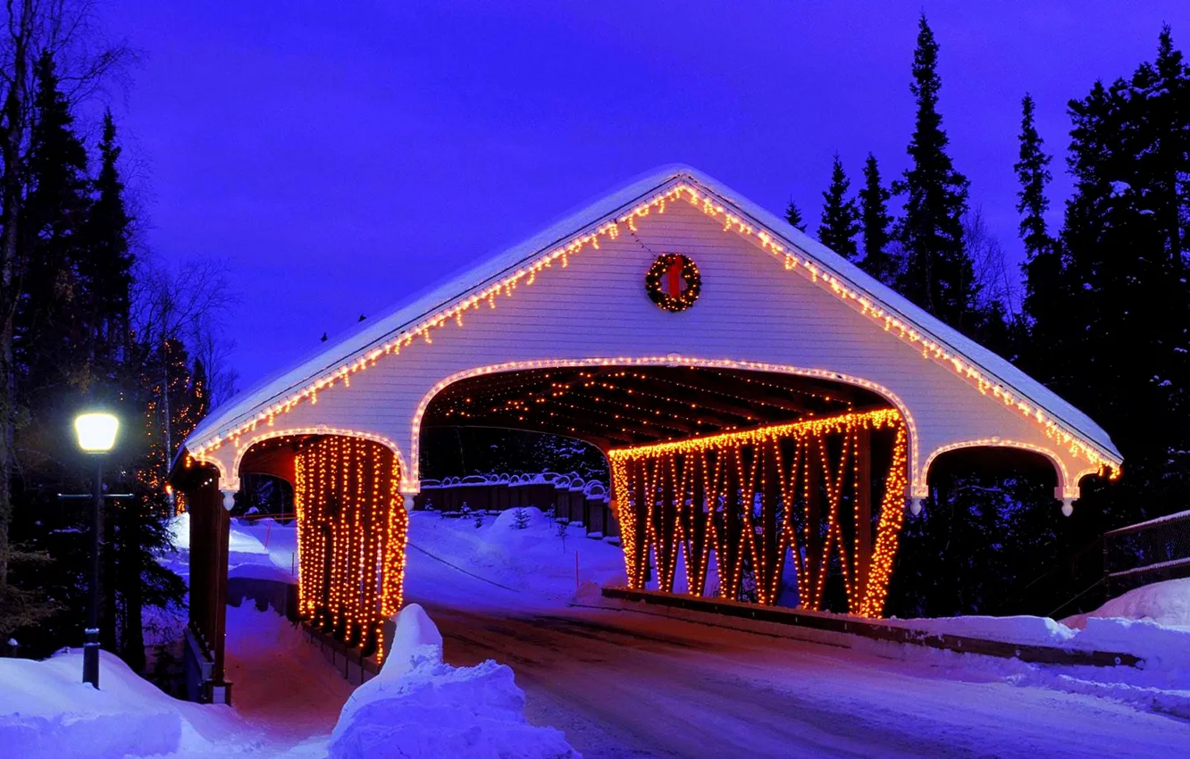 Фото обои зима, дорога, лес, снег, мост, природа, lights, огни