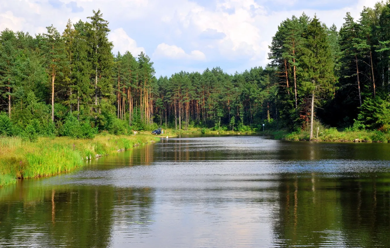 Фото обои лес, река, канал, Литва, Лаздияй, Августовский